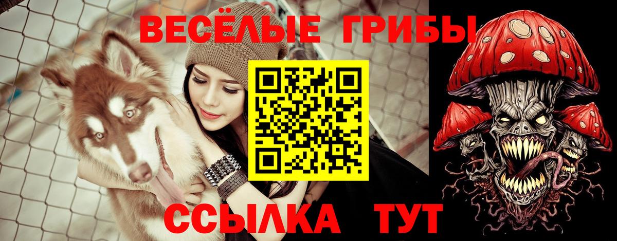 Псилоцибиновые грибы Magic Shrooms Лениногорск