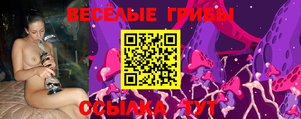 Галлюциногенные грибы Magic Shrooms  Вход с VPN  Лениногорск 